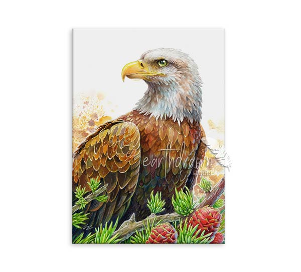 Bald Eagle and Conifers Wall Art