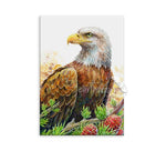 Bald Eagle and Conifers Wall Art