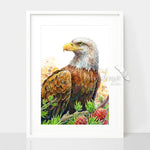 Bald Eagle and Conifers Wall Art