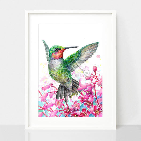 Hummingbird and Coral Bell Flowers