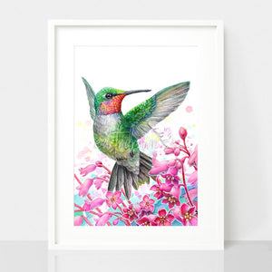 Hummingbird and Coral Bell Flowers