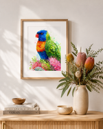 Rainbow Lorikeet and Grevilleas Wall Art