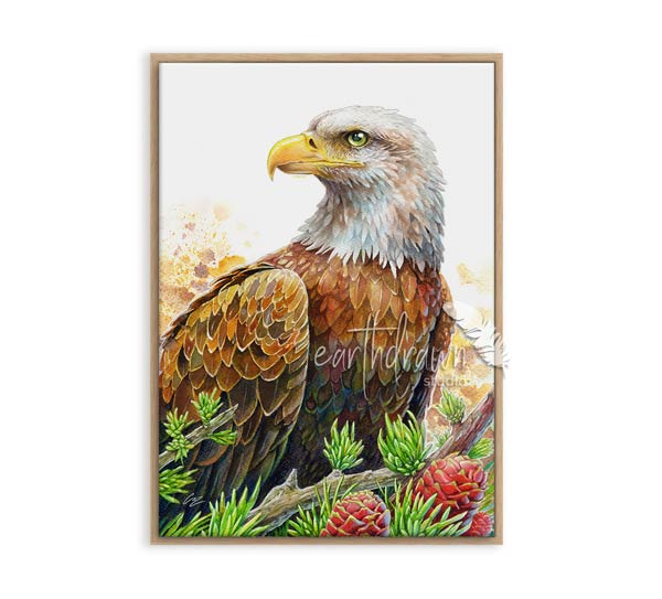 Bald Eagle and Conifers Wall Art