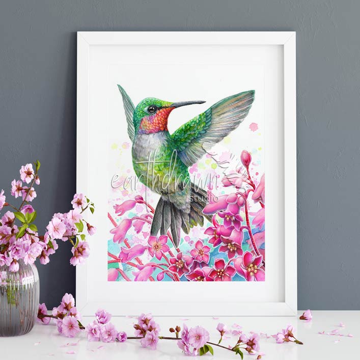Hummingbird and Coral Bell Flowers