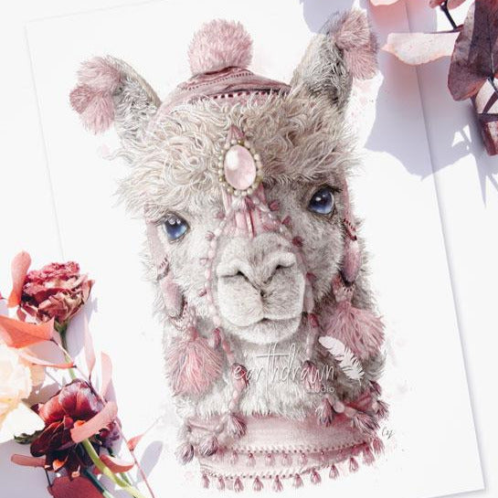 Alpaca art print by illustrator Carlie Edwards