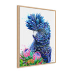 Black Cockatoo and Proteas Wall Art