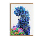Black Cockatoo and Proteas Wall Art