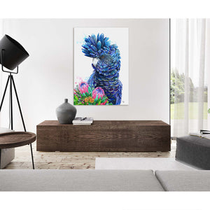 Black Cockatoo and Proteas Wall Art