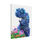 Black Cockatoo and Proteas Wall Art