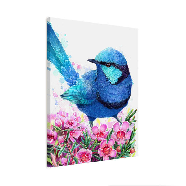 Blue Wren and Geraldton Wax Flower