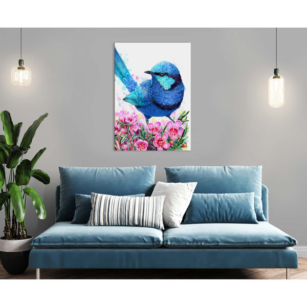 Blue Wren and Geraldton Wax Flower