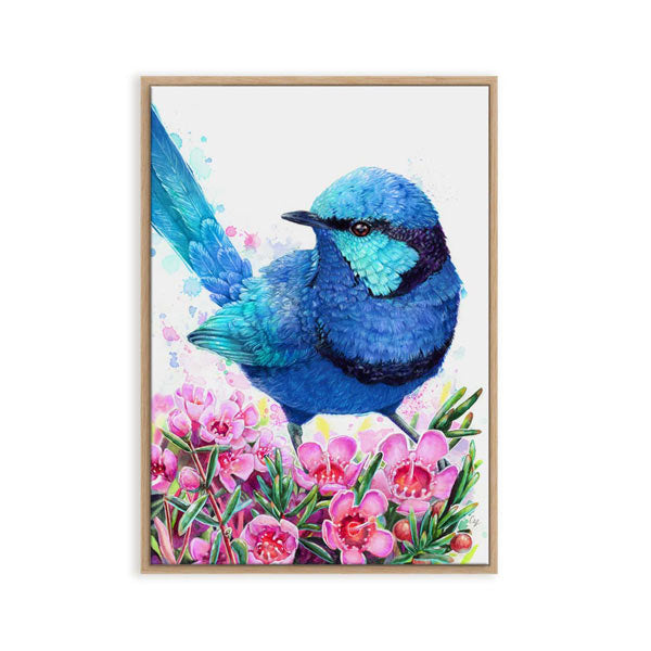 Blue Wren and Geraldton Wax Flower