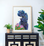 Australian Bird Art Print, Black Cockatoo Artwork, Protea Print