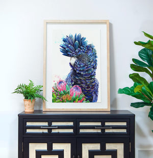 Australian Bird Art Print, Black Cockatoo Artwork, Protea Print