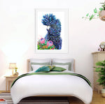 Australian Bird Art Print, Black Cockatoo Artwork, Protea Print