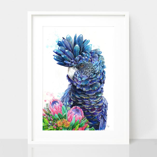 Australian Bird Art Print, Black Cockatoo Artwork, Protea Print