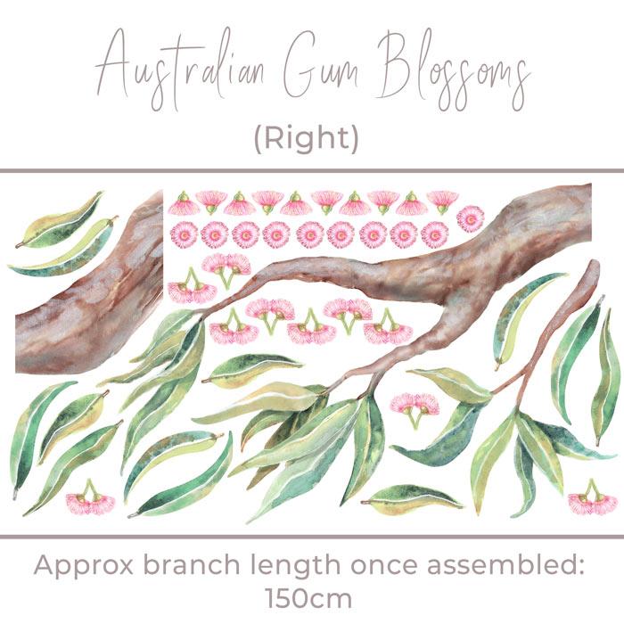Australian Gum Blossom Wall Decal
