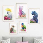White Sulphur Crested Cockatoo and Waratahs Wall Art