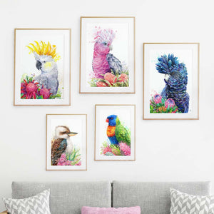 White Sulphur Crested Cockatoo and Waratahs Wall Art