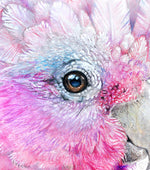 Pink Galah and Banksias Wall Art