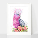 Pink Galah and Banksias Wall Art