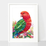 King Parrot and Lilly Pilly Wall Art