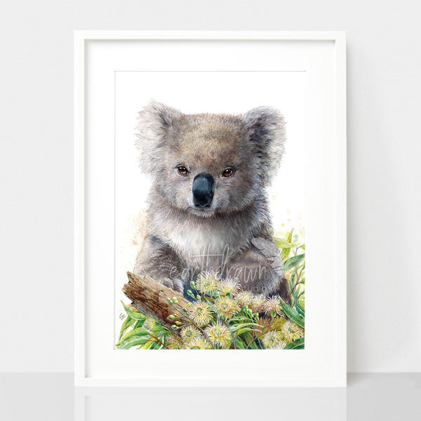 Koala and Eucalypus Blossom Print