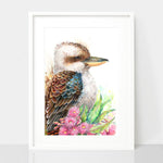 Kookaburra Bird Artwork Art Print Australian Gum Blossom Print
