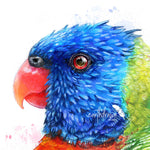 Rainbow Lorikeet and Grevilleas Wall Art