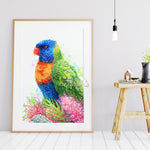 Rainbow Lorikeet and Grevilleas Wall Art