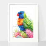 Rainbow Lorikeet and Grevilleas Wall Art