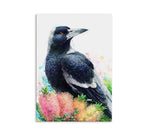 Magpie and Bottlebrush Wall Art