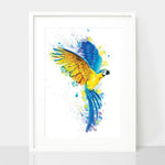 Blue & Gold Macaw Art Print