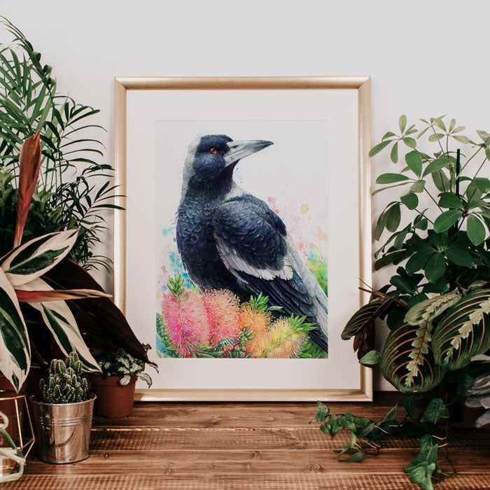 Magpie and Bottlebrush Wall Art