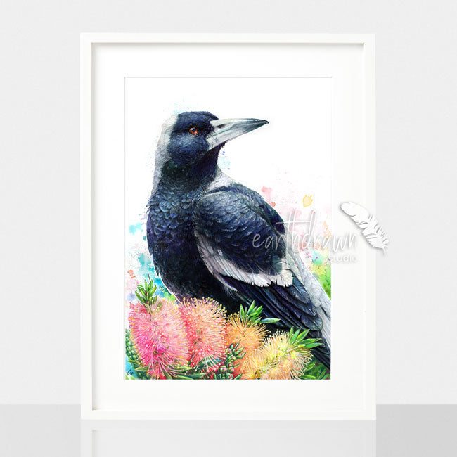 Magpie and Bottlebrush Wall Art