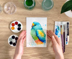 VIRTUAL WORKSHOP: Paint Watercolour Australian Birds at Home