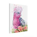 Pink Galah and Banksias Wall Art
