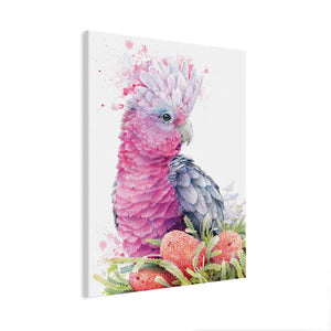 Pink Galah and Banksias Wall Art