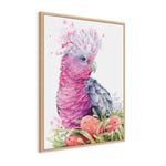Pink Galah and Banksias Wall Art