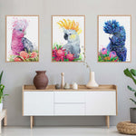 White Sulphur Crested Cockatoo and Waratahs Wall Art
