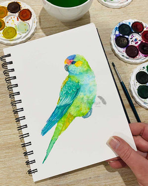 VIRTUAL WORKSHOP: Paint Watercolour Australian Birds at Home