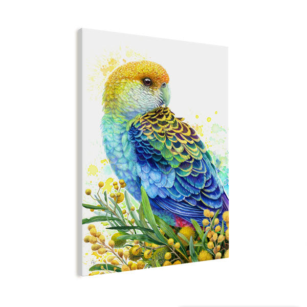 Rosella and Golden Wattle Wall Art Print