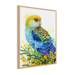 Rosella and Golden Wattle Wall Art Print