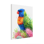 Rainbow Lorikeet and Grevilleas Wall Art