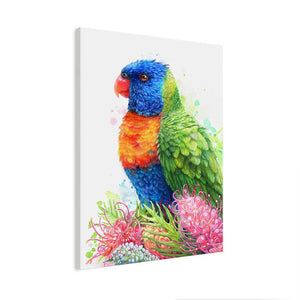 Rainbow Lorikeet and Grevilleas Wall Art