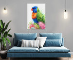 Rainbow Lorikeet and Grevilleas Wall Art