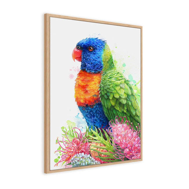 Rainbow Lorikeet and Grevilleas Wall Art
