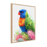 Rainbow Lorikeet and Grevilleas Wall Art