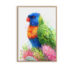 Rainbow Lorikeet and Grevilleas Wall Art