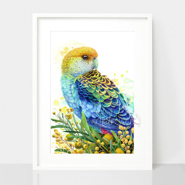 Rosella and Golden Wattle Wall Art Print